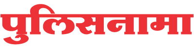Punesamachar Logo